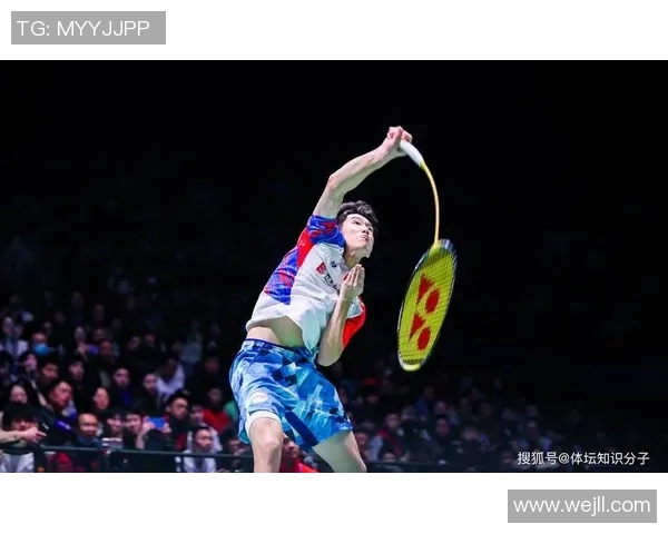 林丹与林元睿的巅峰对决谁将成为羽坛新一代的王者